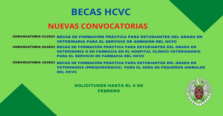 BECAS HCVC